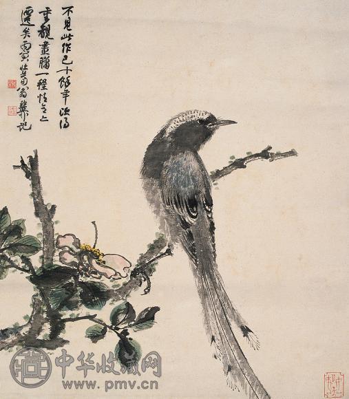 谢稚柳 1986年作 山茶腊鸟 立轴 设色纸本