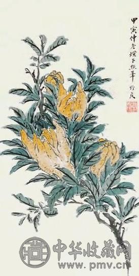 高野侯 佛手 立轴 纸本