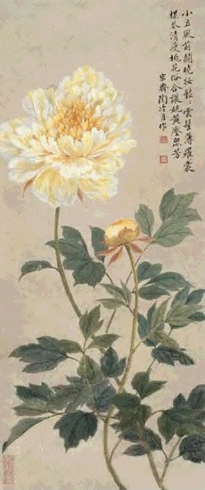 陶冷月 牡丹 立轴 设色纸本