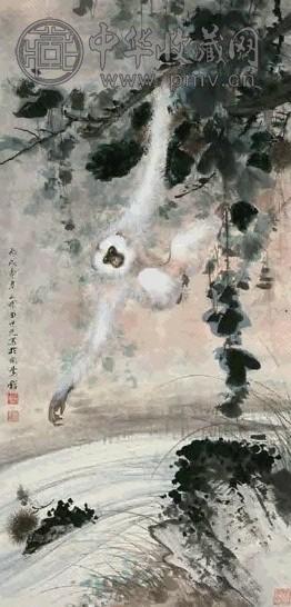 田世光 1946年作 山涧白猿 立轴 设色纸本