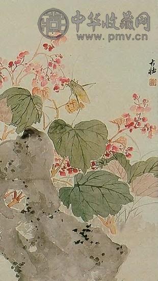 张大壮 近现代 花卉草虫 轴
