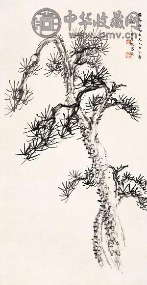 朱孝臧 松树 立轴 纸本