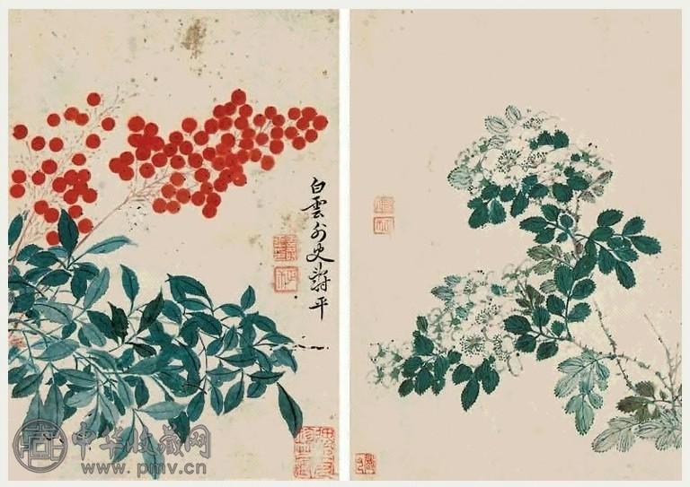 恽寿平 花卉 镜心 纸本