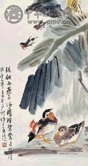 杨正新 鸳鸯 片