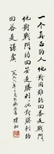 赵朴初 1996年作 行书 镜心 水墨纸本