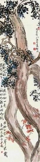 张玉林 柏树