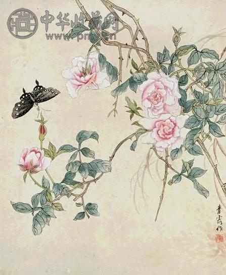 吴青霞 蝶飞图 立轴 设色纸本