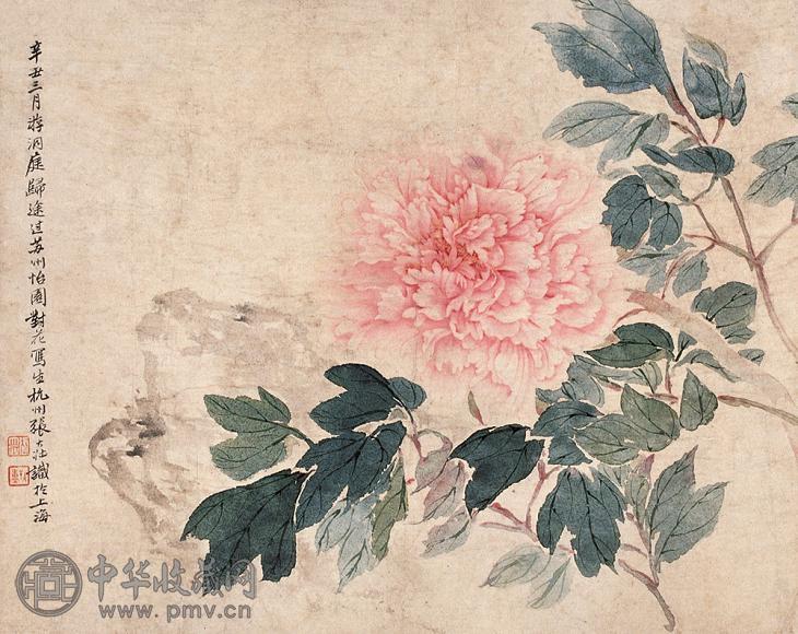 张大壮 辛丑(1961年)作 牡丹富贵 立轴 设色纸本