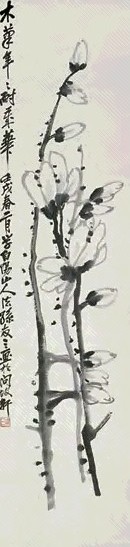 孙友三 玉兰 立轴 水墨