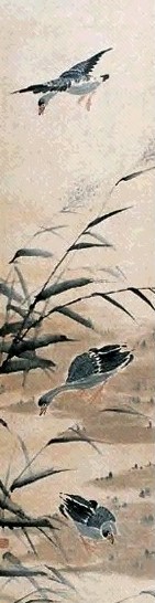 吴青霞 芦雁 镜心 设色纸本