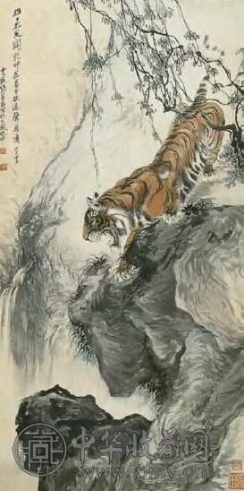 张善孖 近代 虎 轴