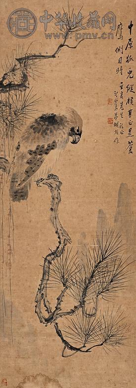 胡汀鹭 苍松雄鹰 镜心 设色纸本