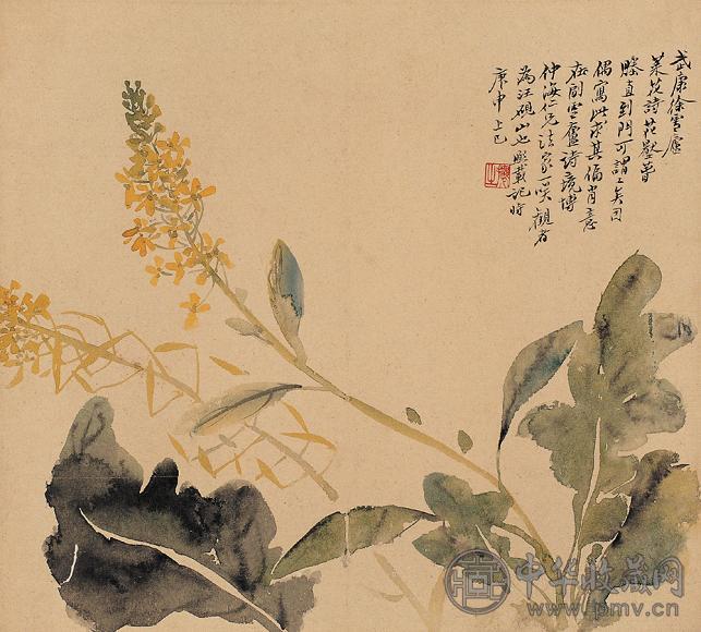 吴熙载 庚申(1860年)作 菜花图 片 设色纸本