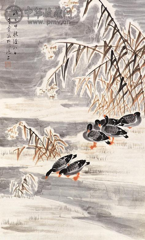 吴青霞 戊午(1978年)作 芦雁图 镜心 设色纸本