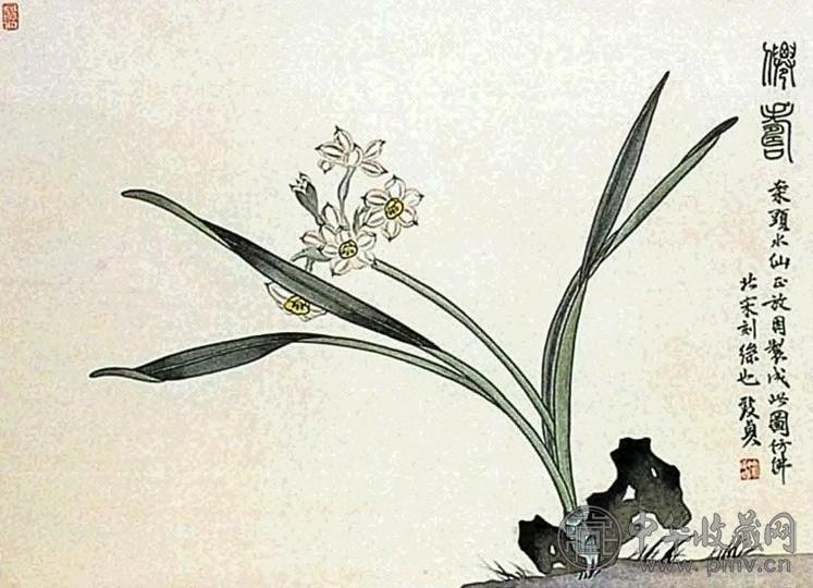 俞致贞 水仙 轴