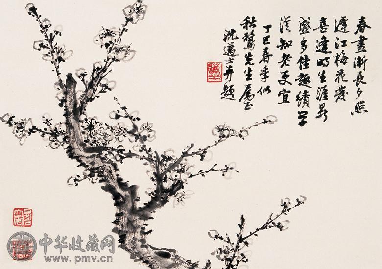 沈迈士 1977年作 梅 镜心 水墨纸本