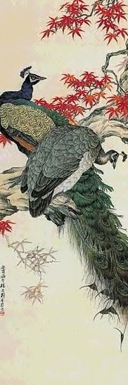 现代 刘奎龄 孔雀图 轴