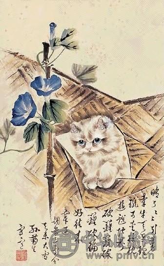 孙菊生 猫戏 片