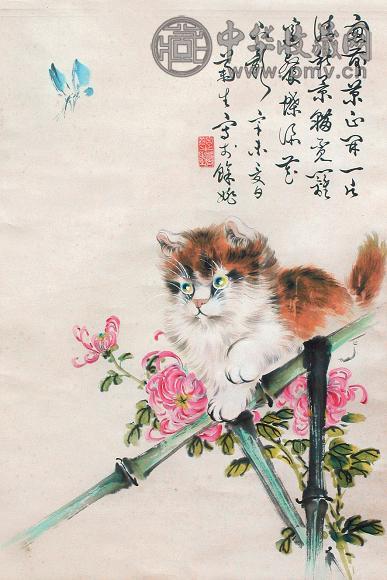 孙菊生 菊花小猫 立轴 设色纸本