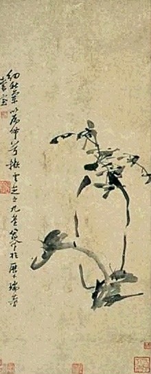 八大山人 花卉 轴