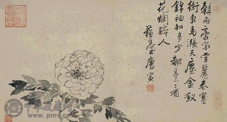 明 唐寅 牡丹 轴