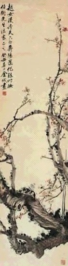 金城 梅花 轴
