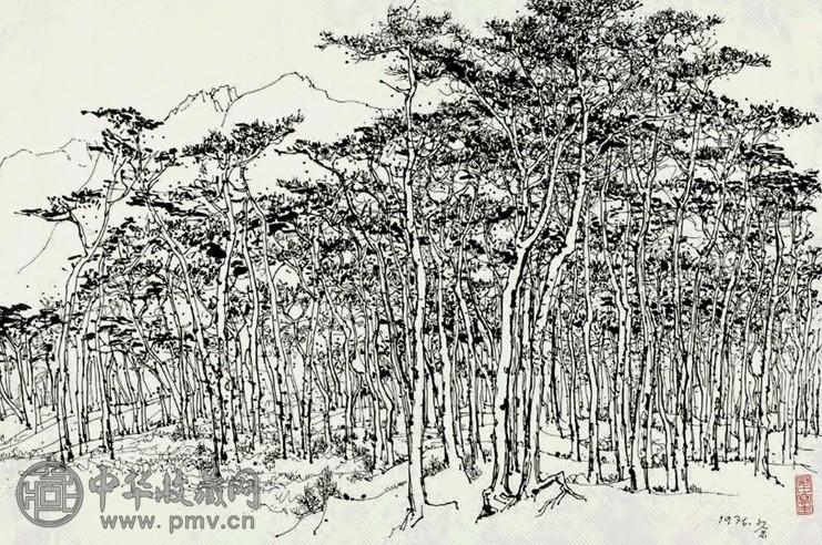 吴冠中 1976年 松林 宣纸素描