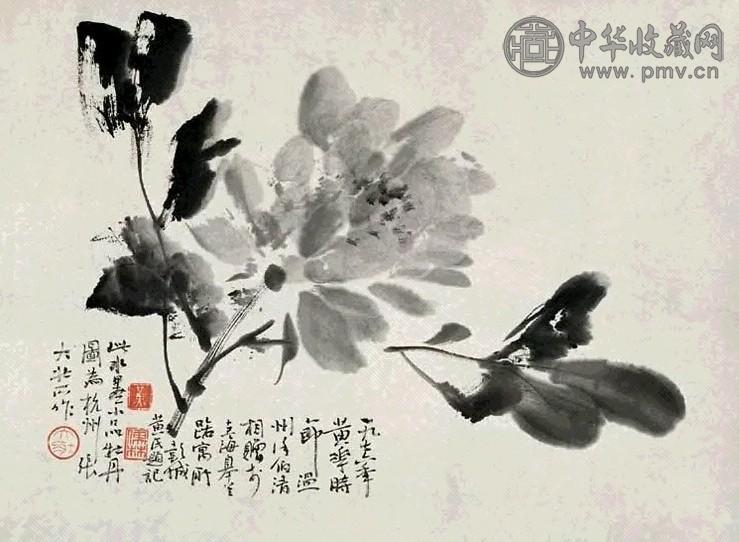 张大壮 1976年作 小品牡丹 立轴 水墨纸本