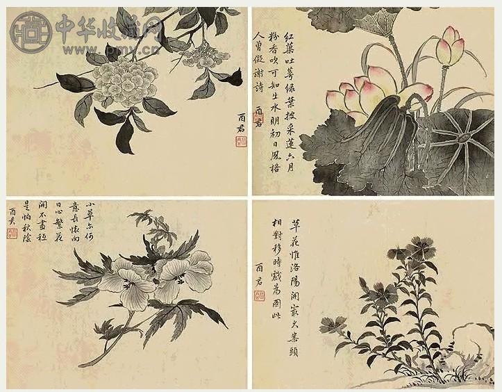 清 蒋廷锡 花卉 册页(10开选4)