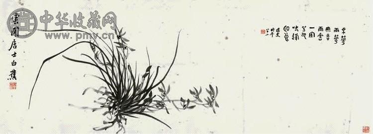 白蕉 兰花 单片 纸本