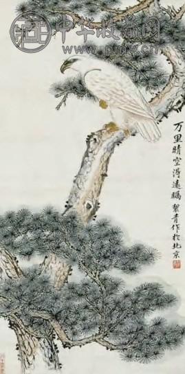 胡絜青 当代 松鹰 镜心