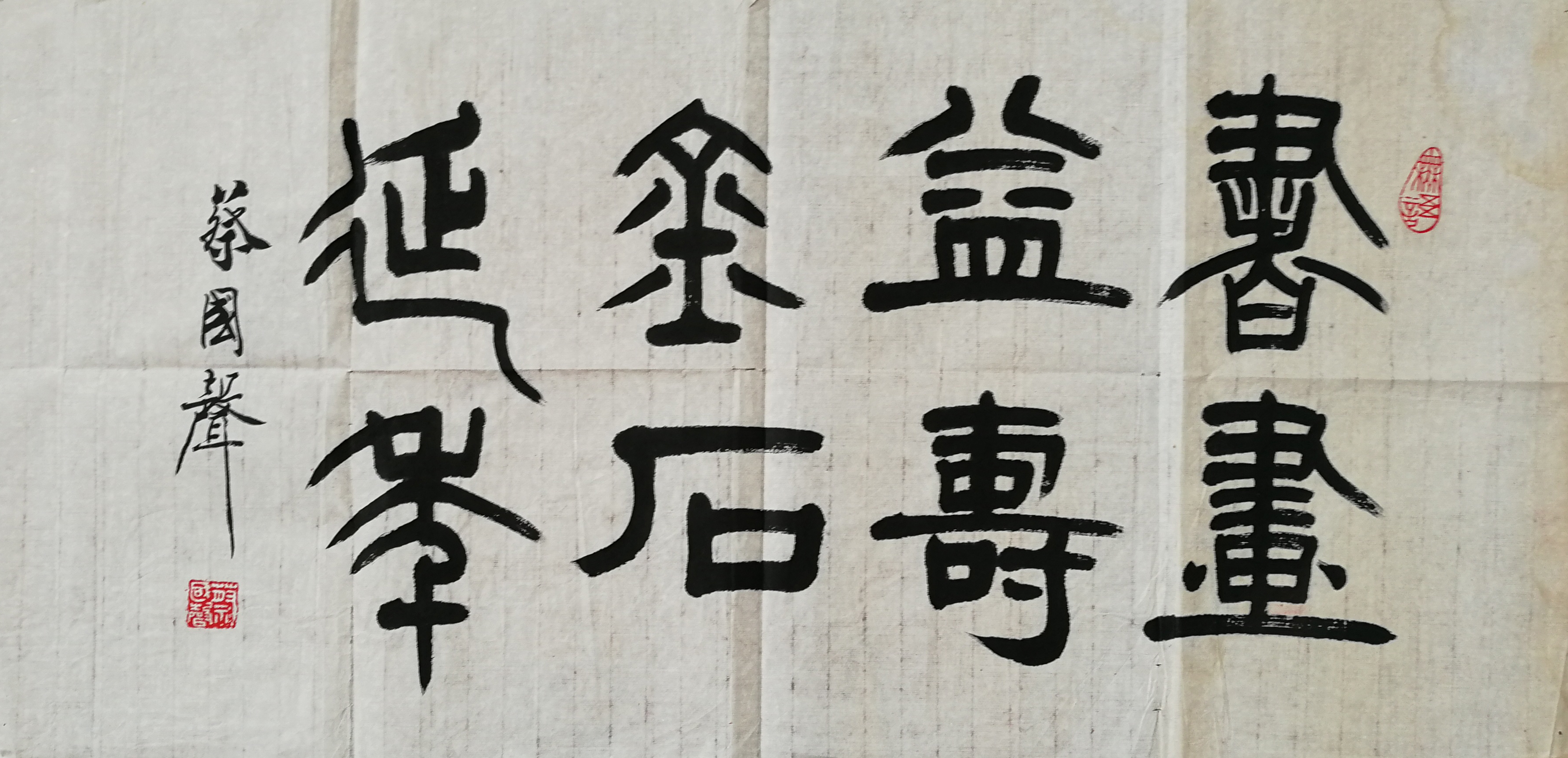 蔡国声 （软片）