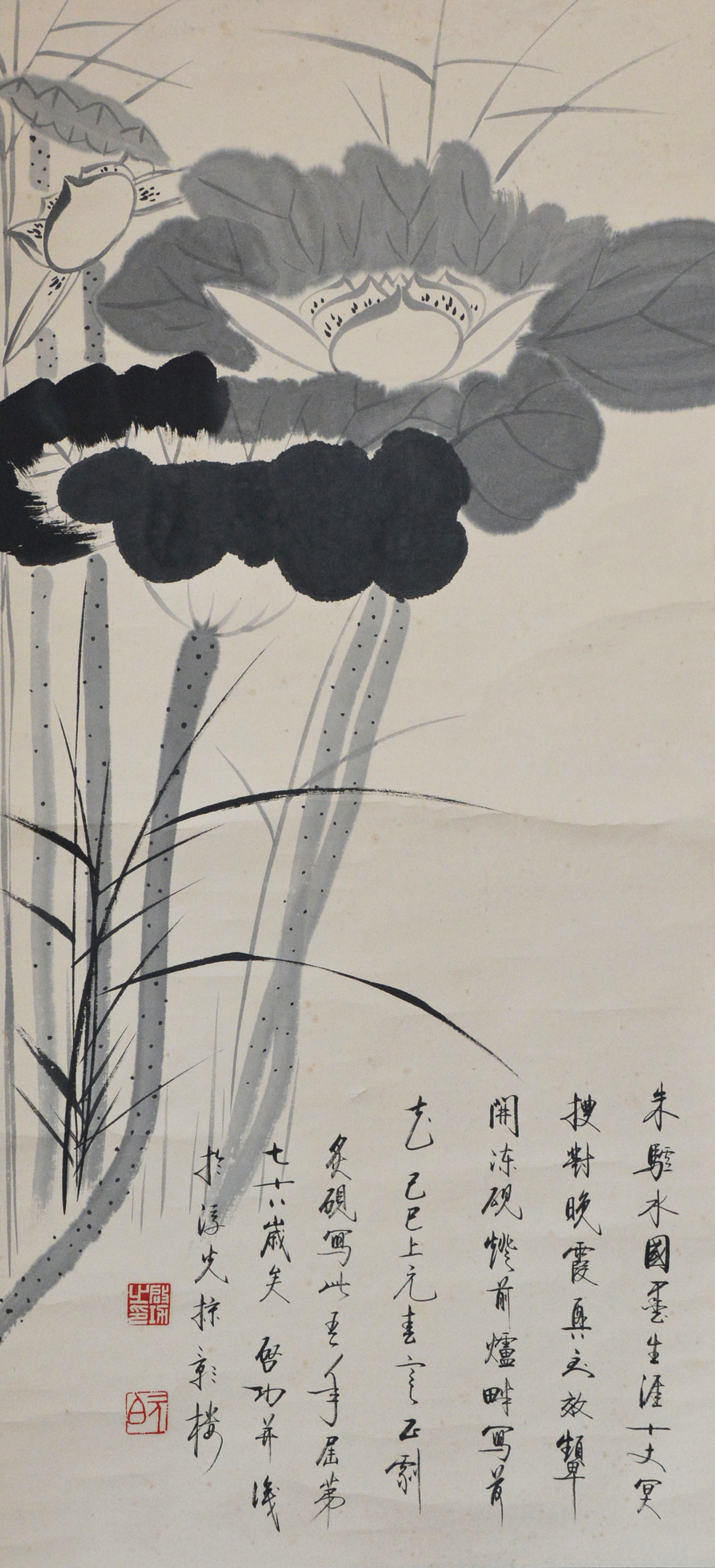 启功（1912—2005   荷花 