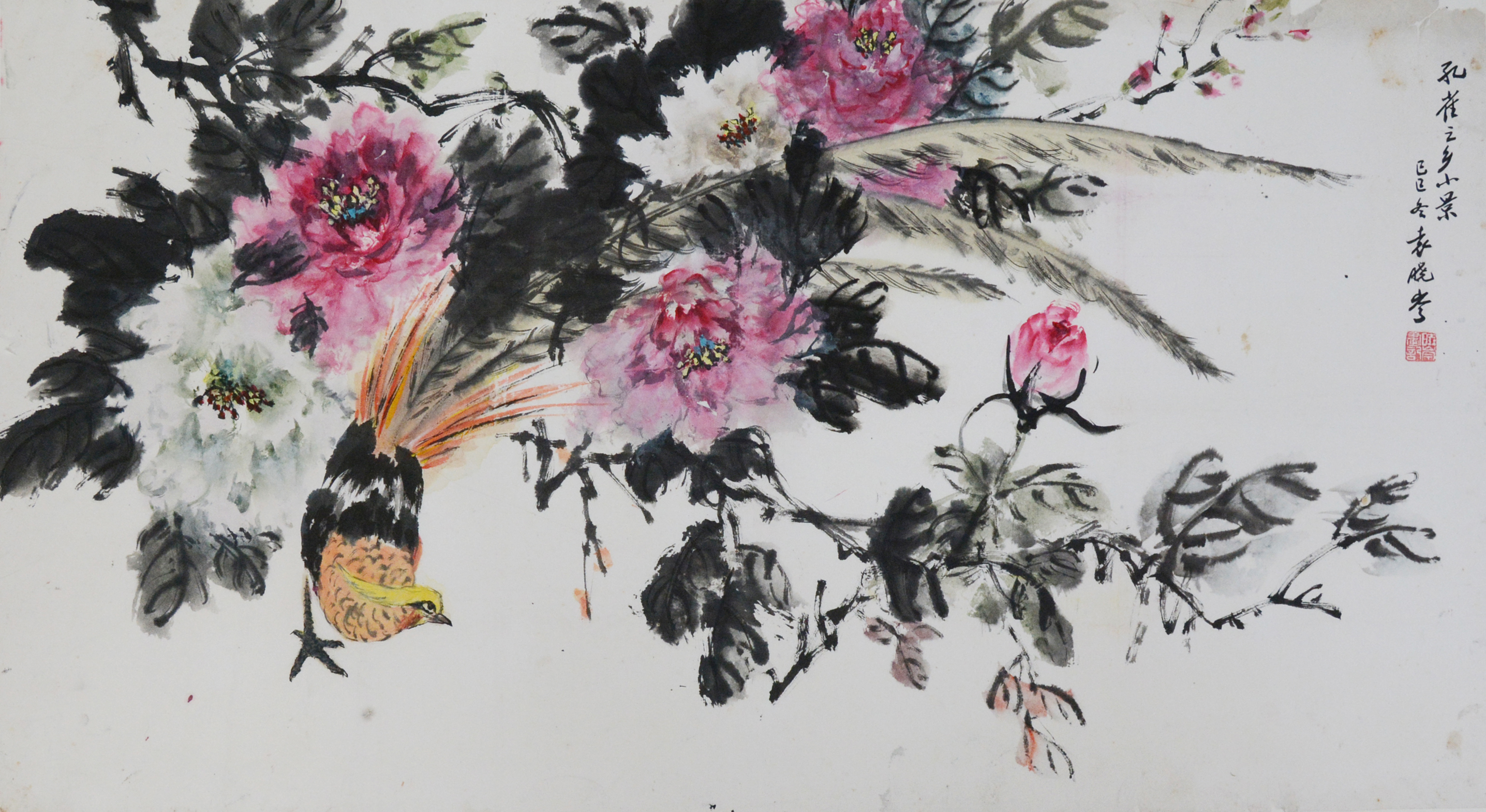 袁晓岑 （1915-2008） 孔雀 