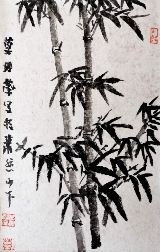 莫妙荣 毛竹 