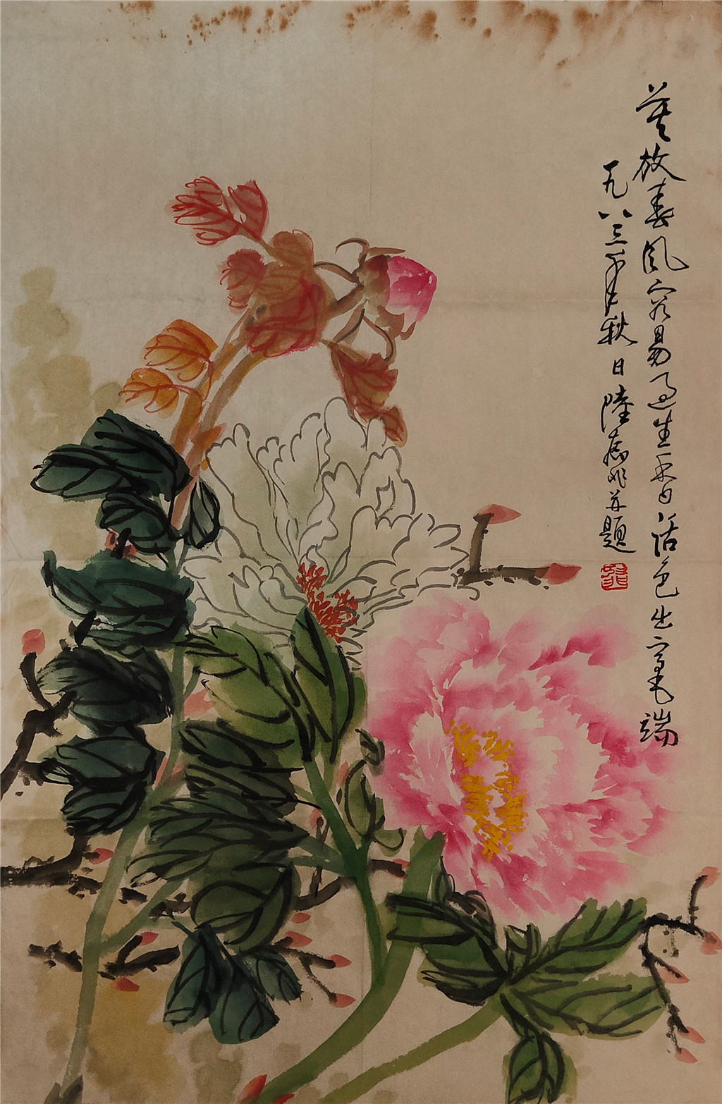 陆抑非      花卉