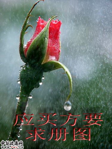 清乾隆哥釉直筒炉