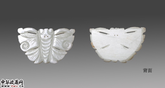 青白玉蝴蝶花片