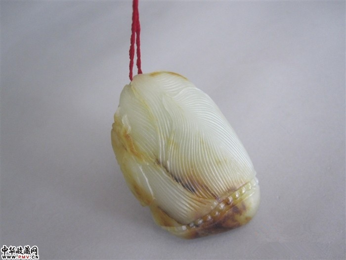 和田独籽 节节高