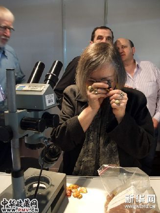 3月10日，一位琥珀鉴定专家在波兰格但斯克举办的国际琥珀节上鉴定琥珀中是否包含小虫。 新华网图片 高帆 摄