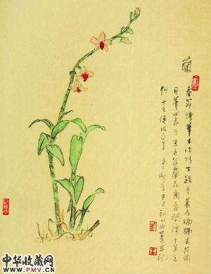 也墨此次展览中的花卉作品均为小幅绢本的花草写生。