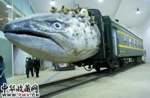 “鱼头列车”开进美术馆，其特殊的造型让观众觉得很吃惊，也引起不少争议。
