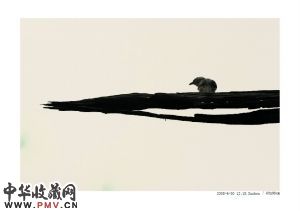 曾忆城在通过摄影观看世界的同时，也在观看自己的内心