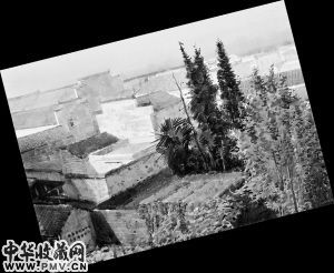 方晓龙作品《家园》