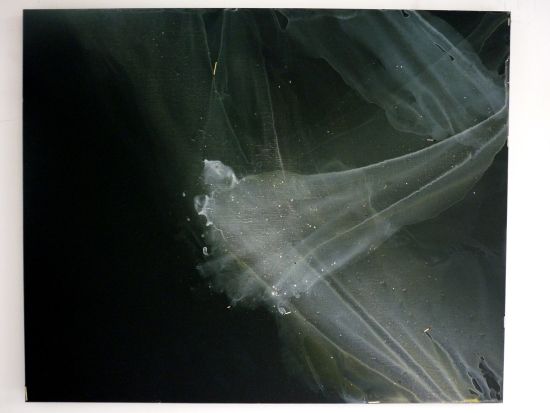 《还有那漂亮的山鹑》 2011