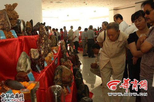 奇石展吸引了不少市民前来观赏   本组图片由本报记者 张超 摄