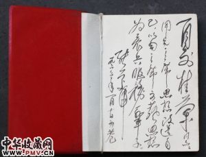 红色收藏展展品