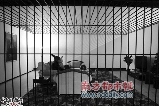 青年艺术家邱黯雄的新作《动物园》在深圳OCAT展出
