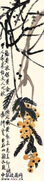 枇杷