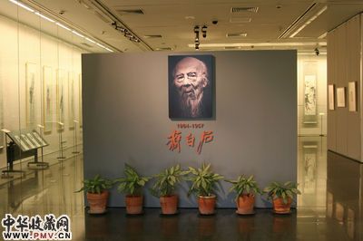 图片资料
